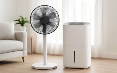 Choosing the Perfect Fan and Dehumidifier for a Cooler, Dryer Home Environment