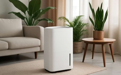 Top-Quality Dehumidifier UAE: Your Ultimate Solution for Comfortable Indoor Air Today