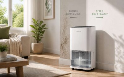 Dehumidifier for mold, the key to a dry, mildew-free home.